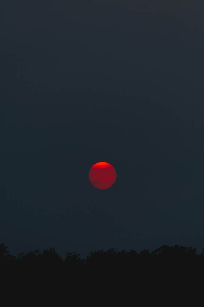 ciel bleu sombre pris de nuit avec la lune couleur rouge et d'arbres